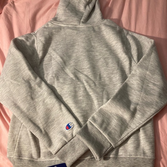Champion Gray Hoodie with Logo - Picture 4 of 4